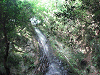 camp24 (245)_samu.gif